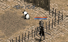 a0099729_10562386.gif