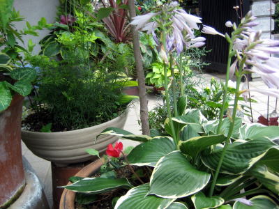 c0147952_22491046.jpg