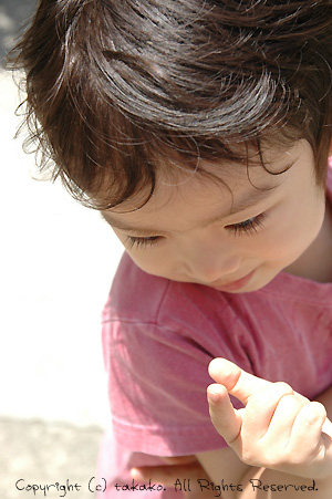 c0070460_2348926.jpg