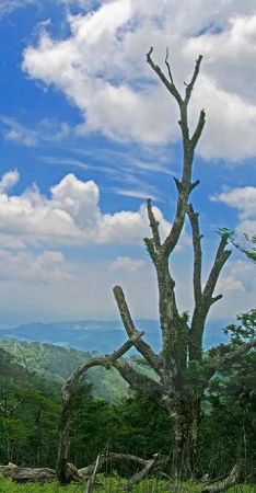d0102968_20195863.jpg