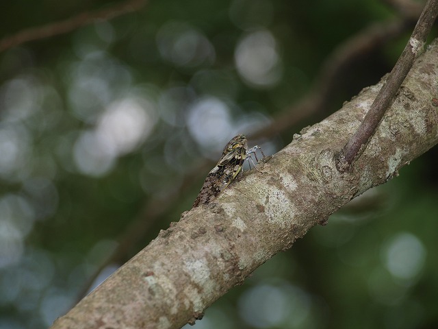 b0135573_20224420.jpg