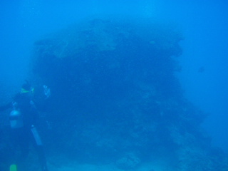 Dive130-134　石垣島北部ダイビング_c0131981_935036.jpg