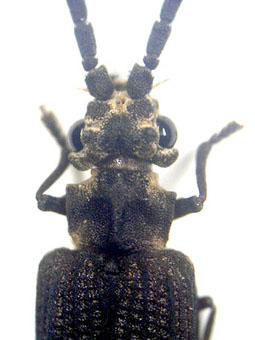 e0083097_27537.jpg