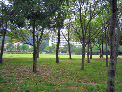 b0108100_18413588.gif