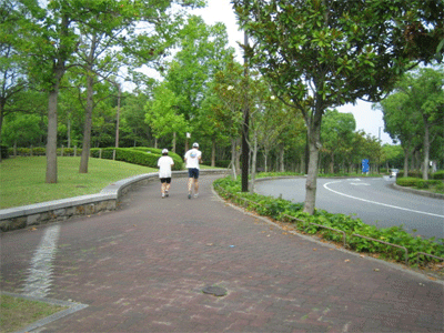 b0108100_18415373.gif