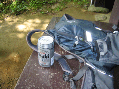 b0108100_18435859.gif