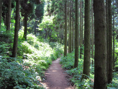 b0108100_18441748.gif