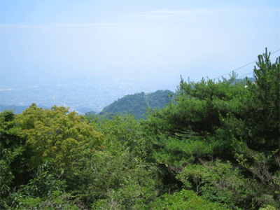 b0108100_1845254.gif