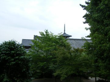 f0120102_9551782.jpg