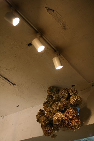 e0091804_92586.jpg