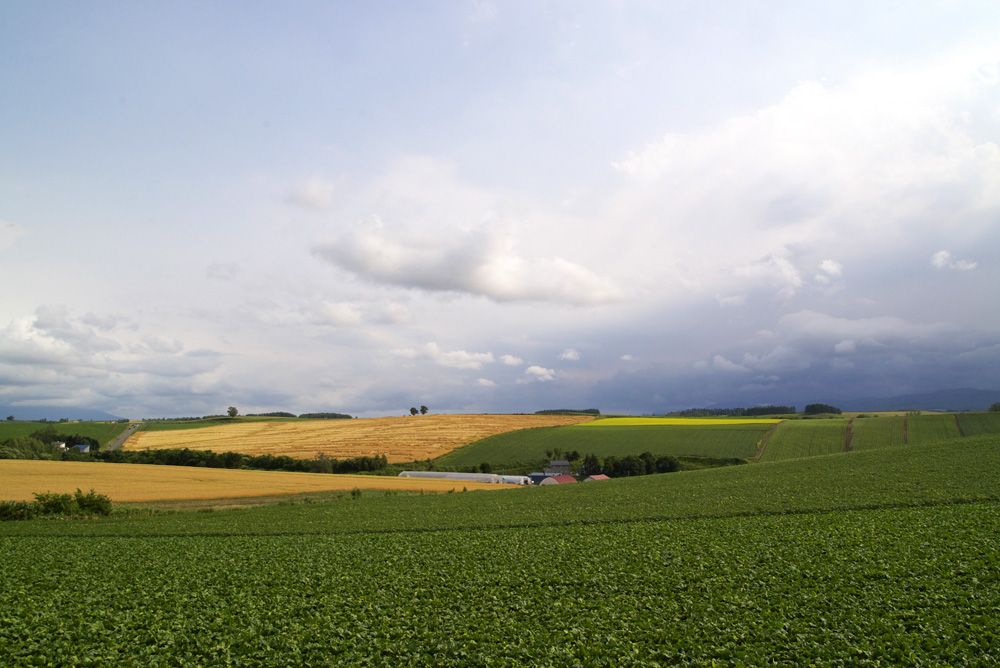 c0033513_19435620.jpg