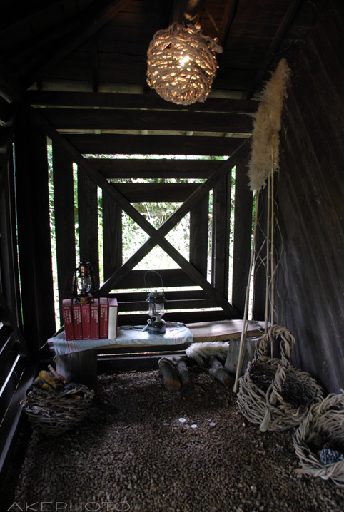 waranaya_e0127416_1154792.jpg