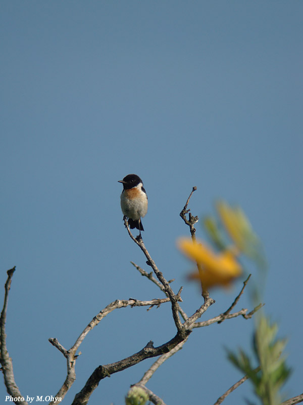f0003418_1842134.jpg