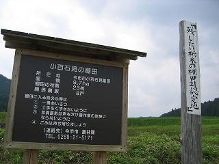 d0140422_16131357.jpg
