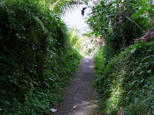 「バリ島　ライステラスと石鹸工場　田園風景」_a0000029_3595240.jpg