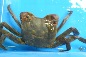 a0058941_22155271.jpg