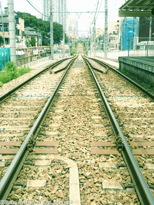 紫陽花経由路面電車の旅_c0096542_19563389.jpg