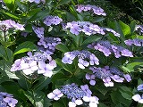 b0148050_18233261.jpg
