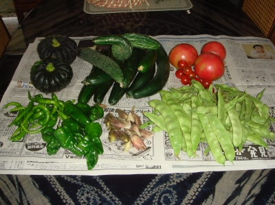 c0108460_14131524.jpg