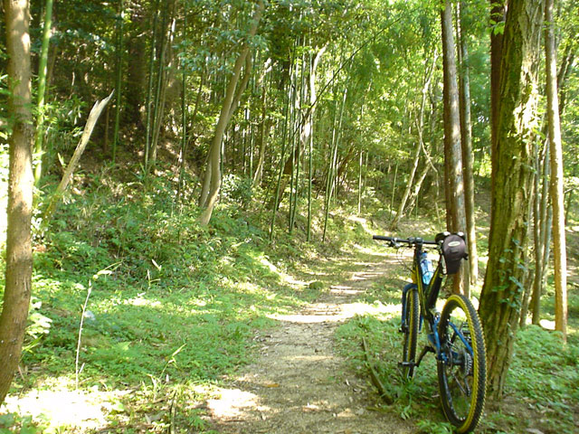 2008-07-06 MTB 繖山トレイル_e0080860_22404753.jpg