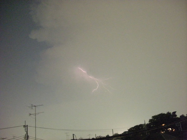 f0178268_1415939.jpg