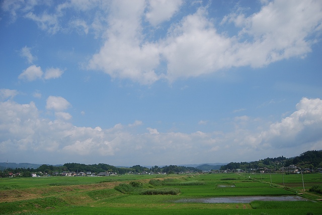 e0078069_2149575.jpg