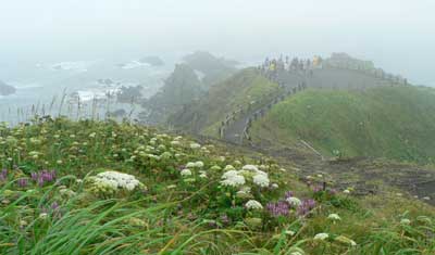 f0083977_6343728.jpg