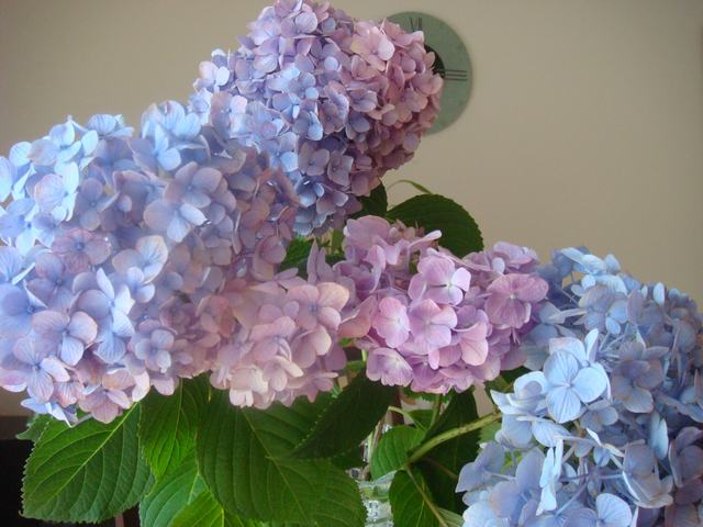 d0100880_15511545.jpg