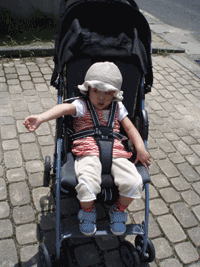 b0076085_6512216.gif