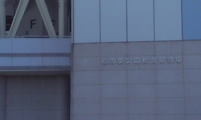 葉っぱ_c0034485_1012679.jpg