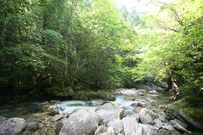 f0166390_2311599.jpg