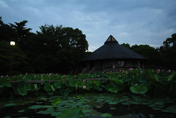 【散歩日和】千葉・千葉公園 〜 Daybreak　１／３_f0054594_50592.jpg