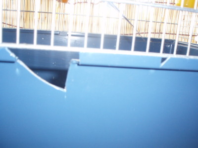 c0086895_9565068.jpg