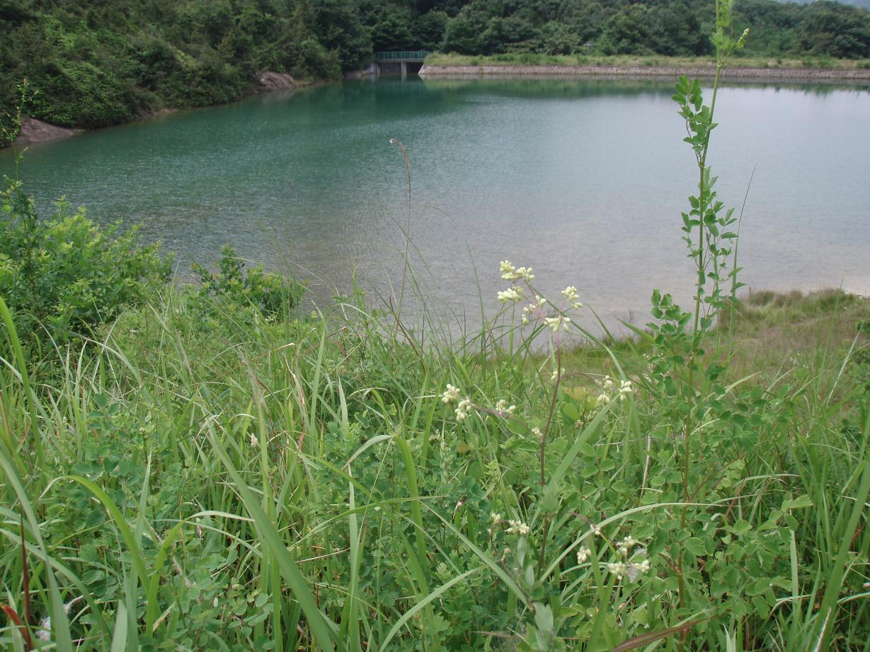 d0051106_20315735.jpg