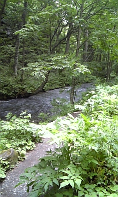 d0005807_720050.jpg
