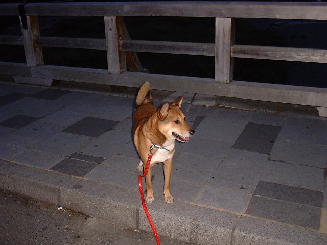 f0173908_614091.jpg