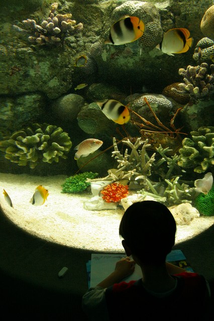 c0071611_1739231.jpg