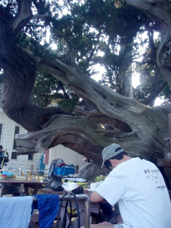 f0043911_173665.jpg