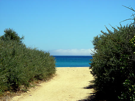 d0062721_13756.jpg