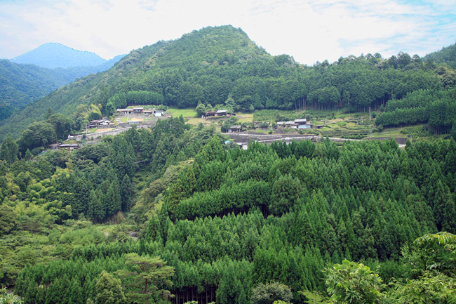 d0147530_4314167.jpg