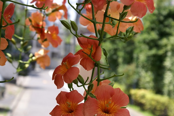 a0045131_1252130.jpg