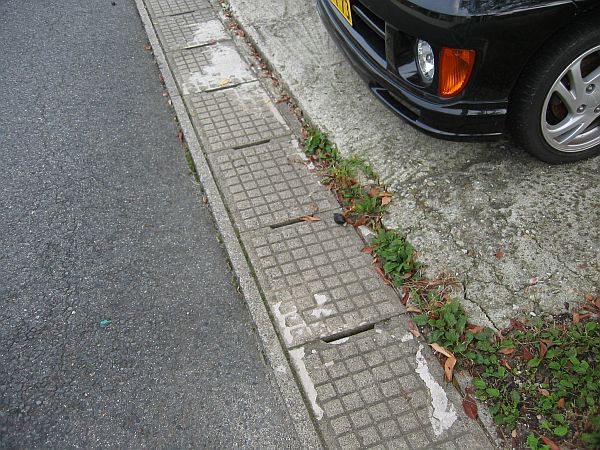 梅雨明け 夏本番!!_f0076731_18213954.jpg