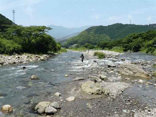 a0056140_2302727.gif