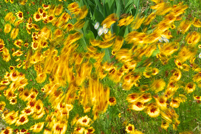 c0067040_22371491.jpg