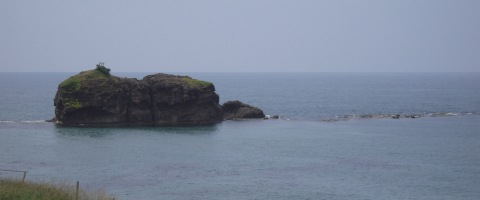 d0049152_16262757.jpg