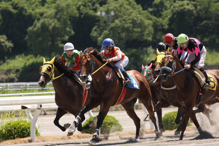 2008年7月13日（日） 高知競馬 5R_a0077663_2141313.jpg