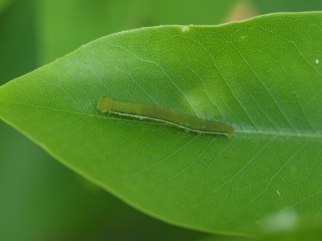 b0135573_177042.jpg