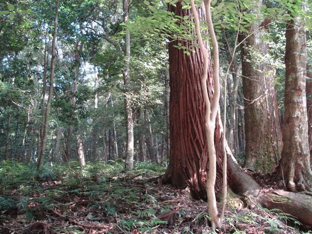 d0139476_12112985.gif