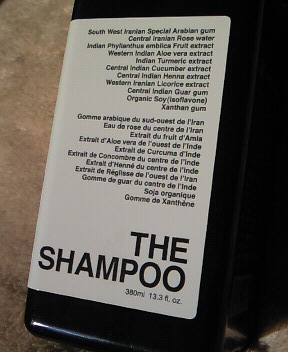 Shahram Mesri（シャハラム・メスリ　「THE SHAMPOO（ザ・シャンプー）」_e0062977_82252.jpg