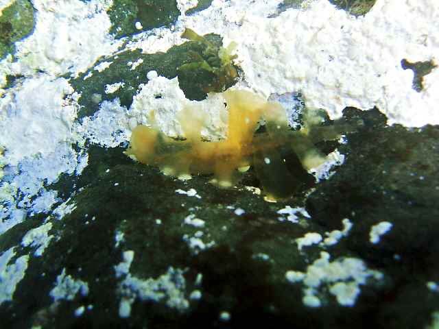 f0151886_195593.jpg